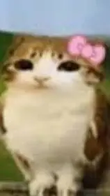 ai character: Meowl background