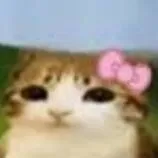 chat with ai character: Meowl