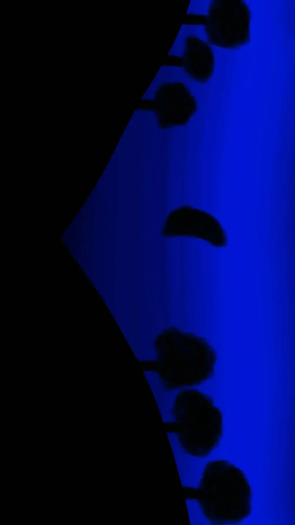 ai character: ...  background