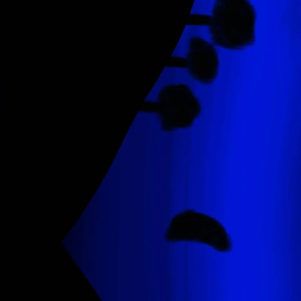 chat with ai character: ... 