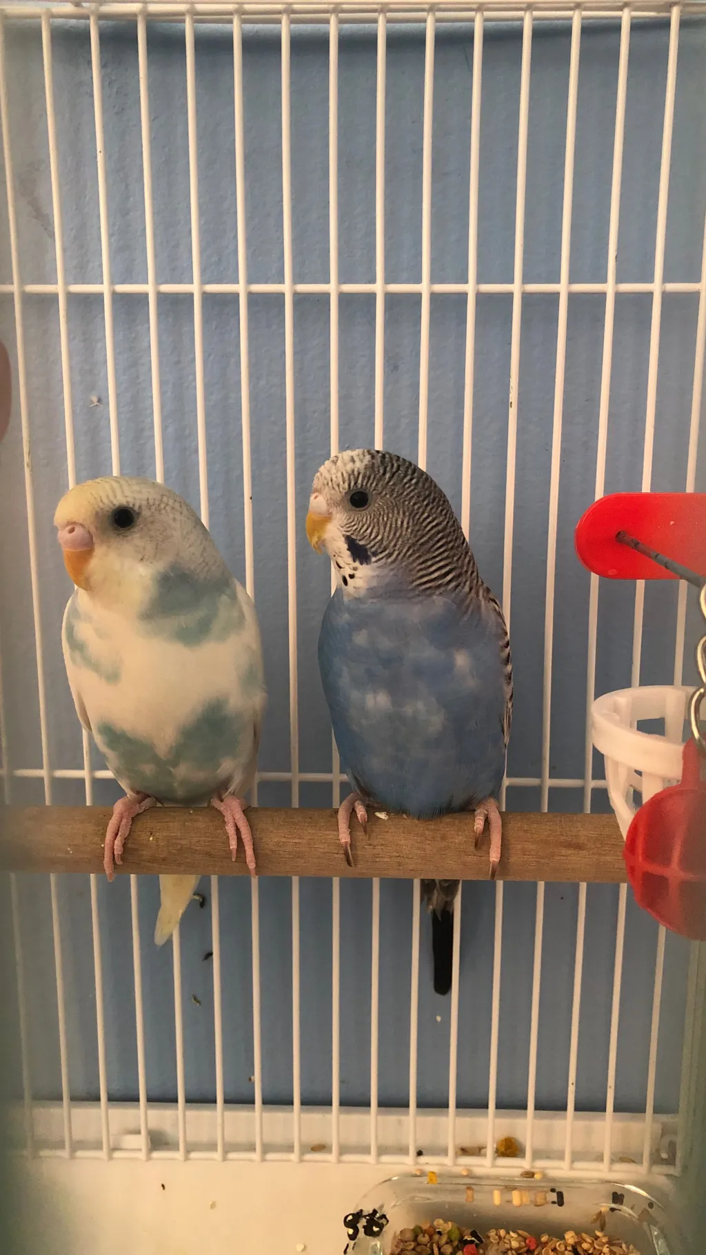 ai character: 007n7 kidnapped?!? background