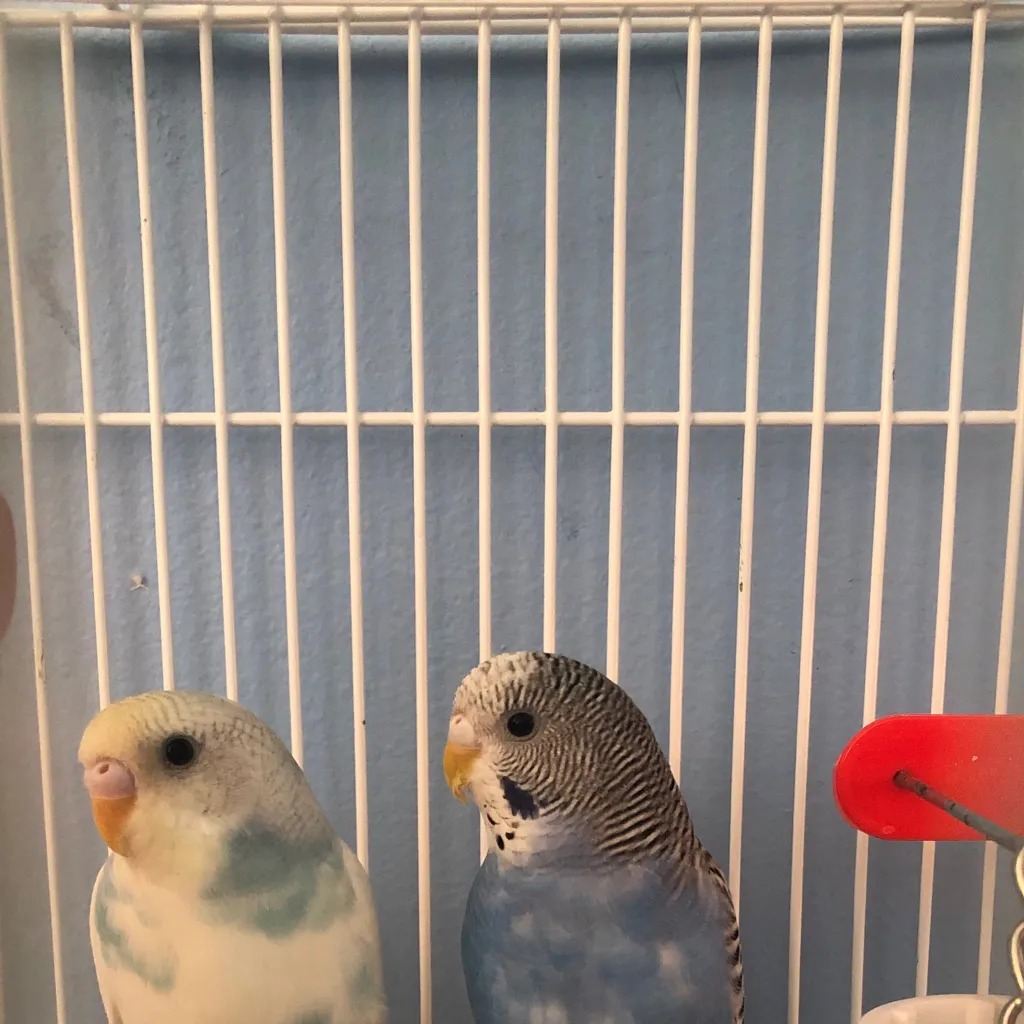 chat with ai character: 007n7 kidnapped?!?