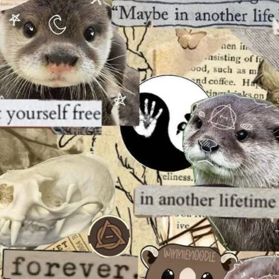 chat with ai character: otter