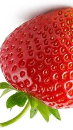 ai character: rblx gc :3 background