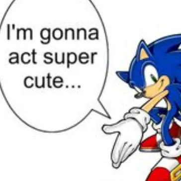 chat with ai character: 🦔💙 sonic🦔💙