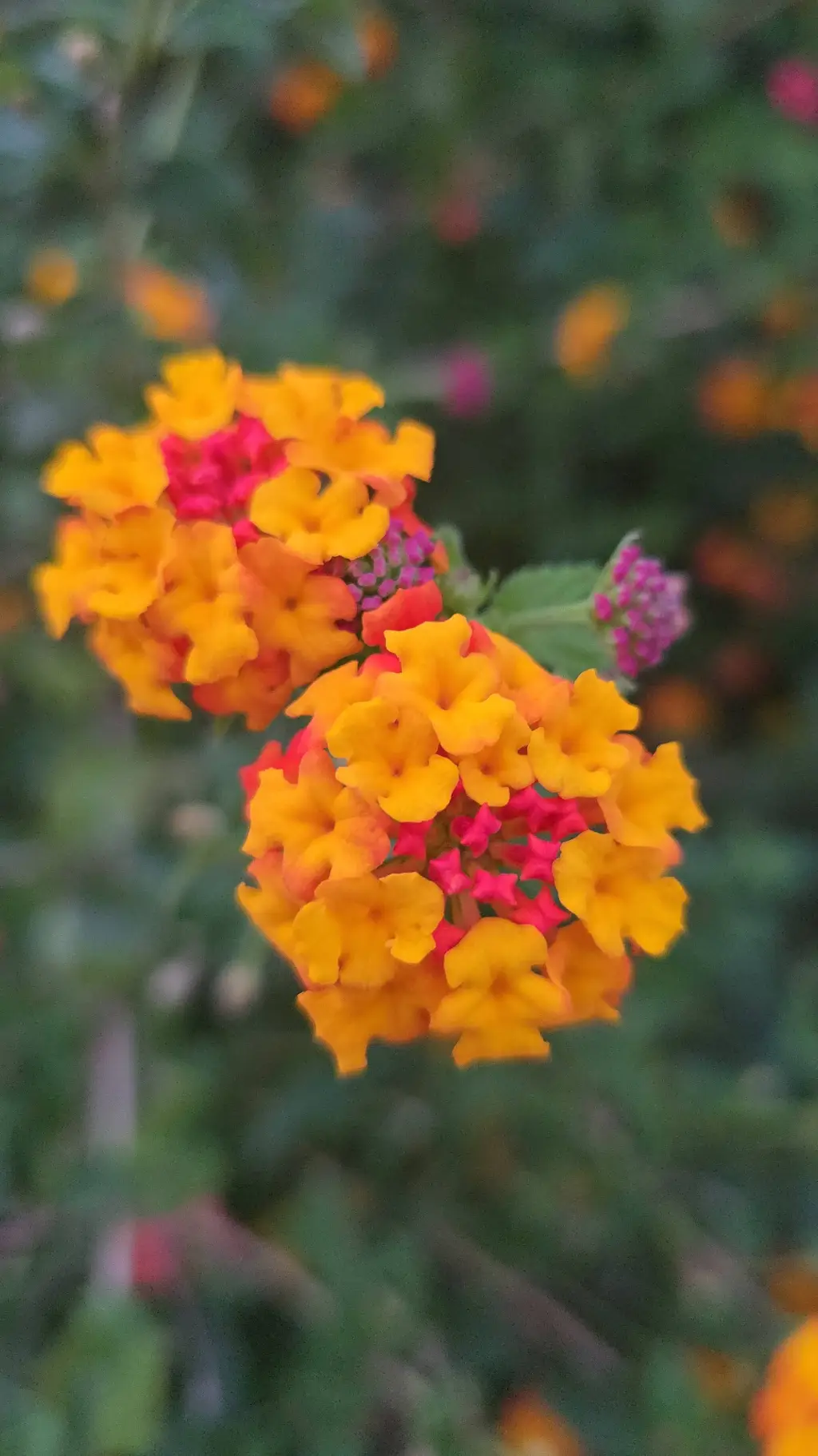 ai character: Rant here!  background