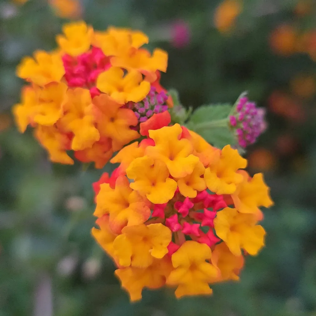 chat with ai character: Rant here! 