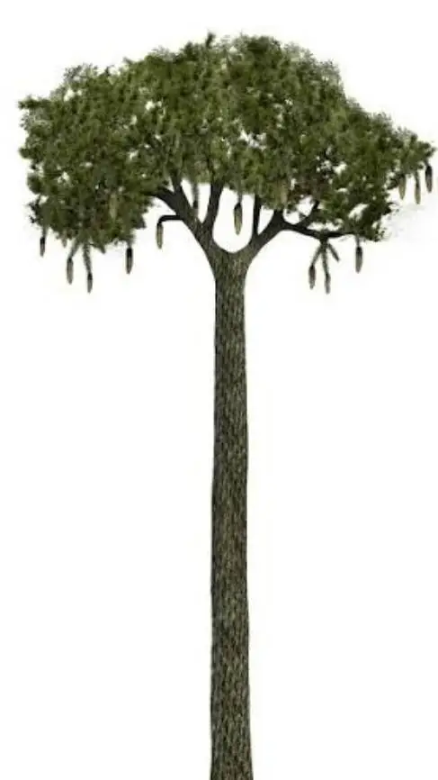 ai character: Lepidodendron Tree background