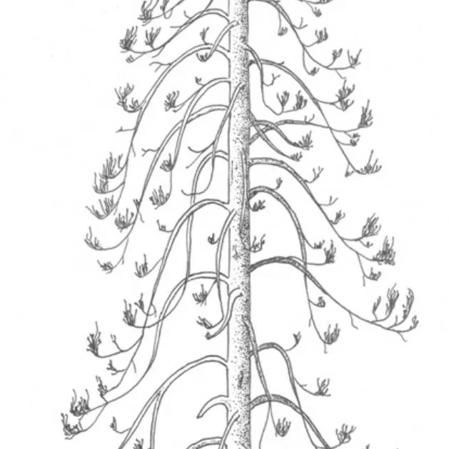 chat with ai character: cant fit name