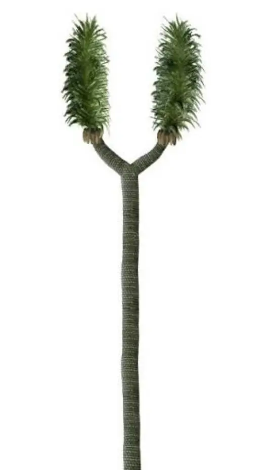 ai character: Sigillaria Tree background