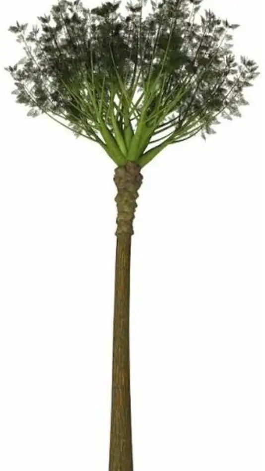 ai character: Wattieza Tree background