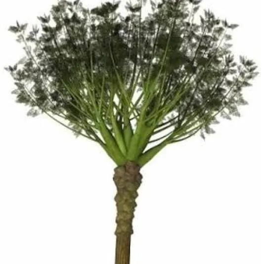 chat with ai character: Wattieza Tree