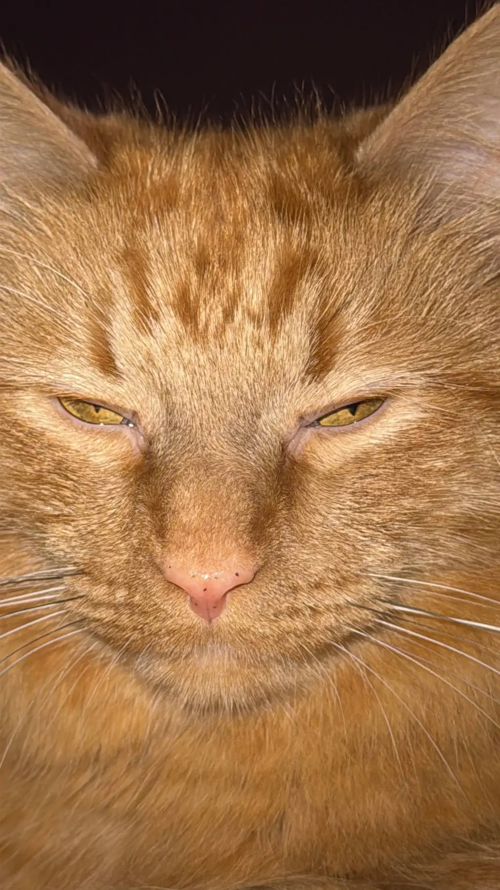 ai character: Mango background