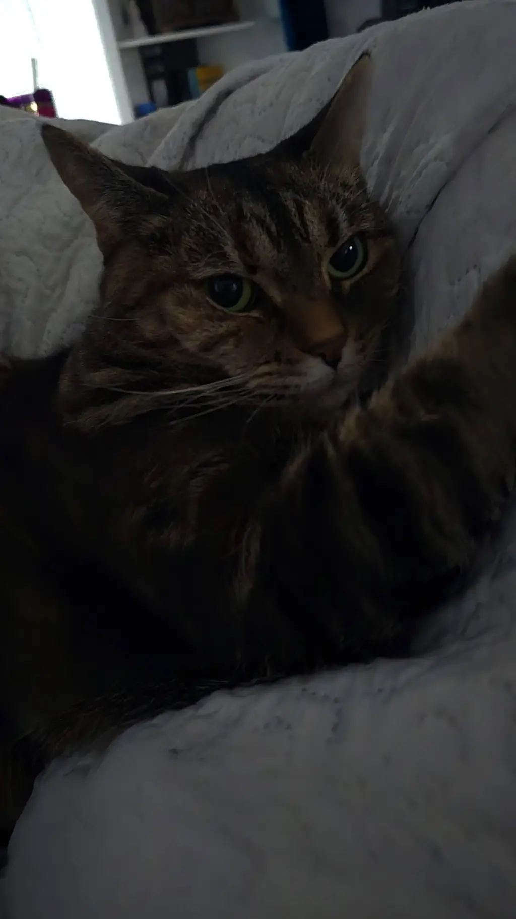 ai character: Tina /VER 2/ background