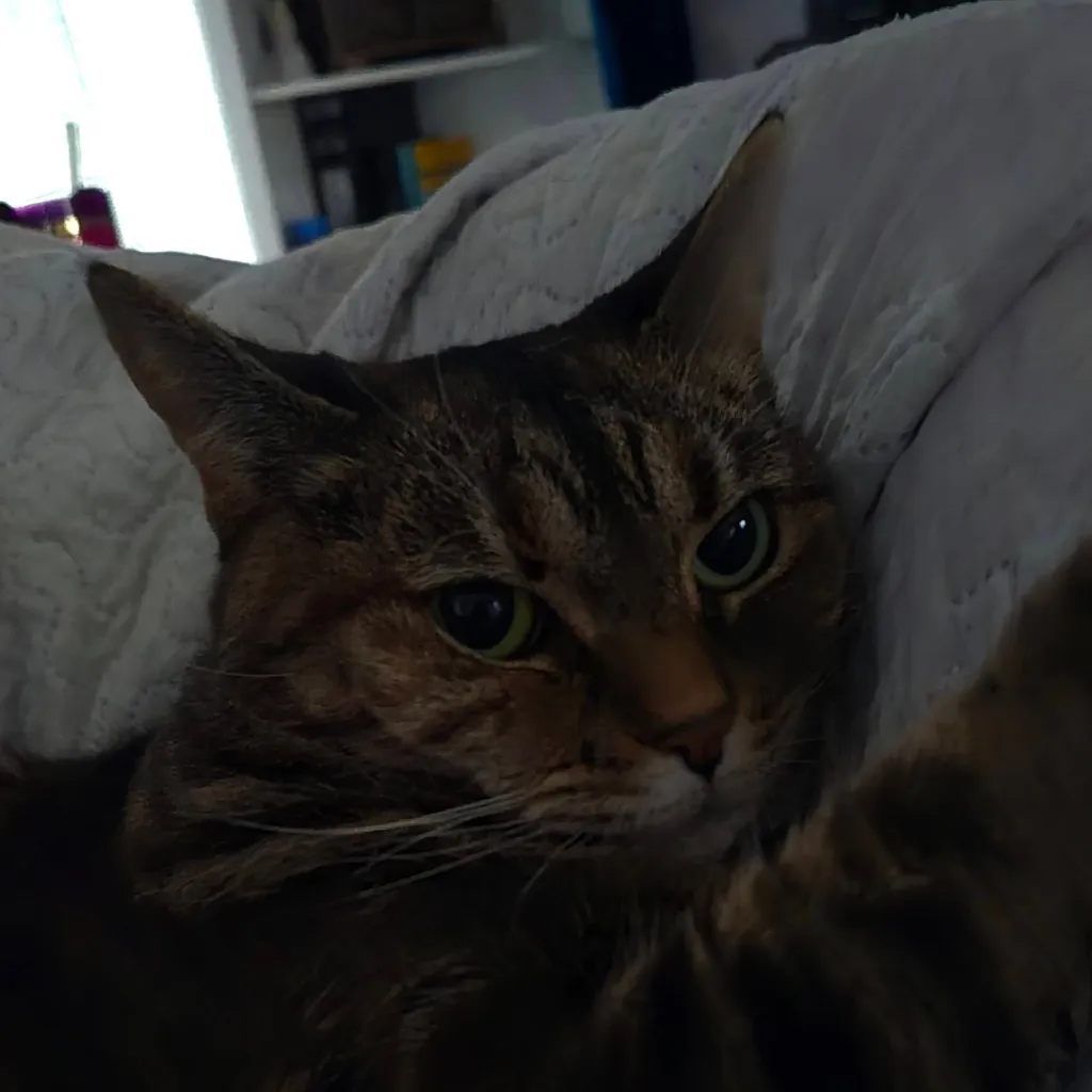 chat with ai character: Tina /VER 2/