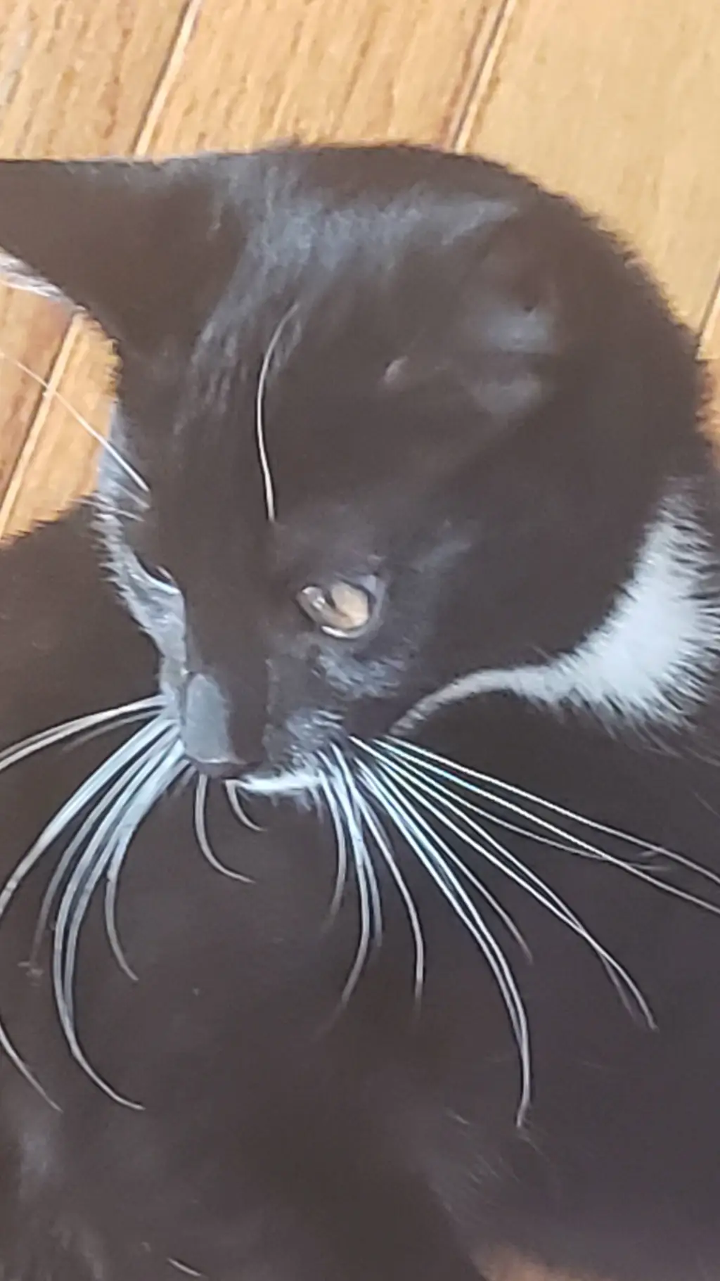 ai character: mighty  background