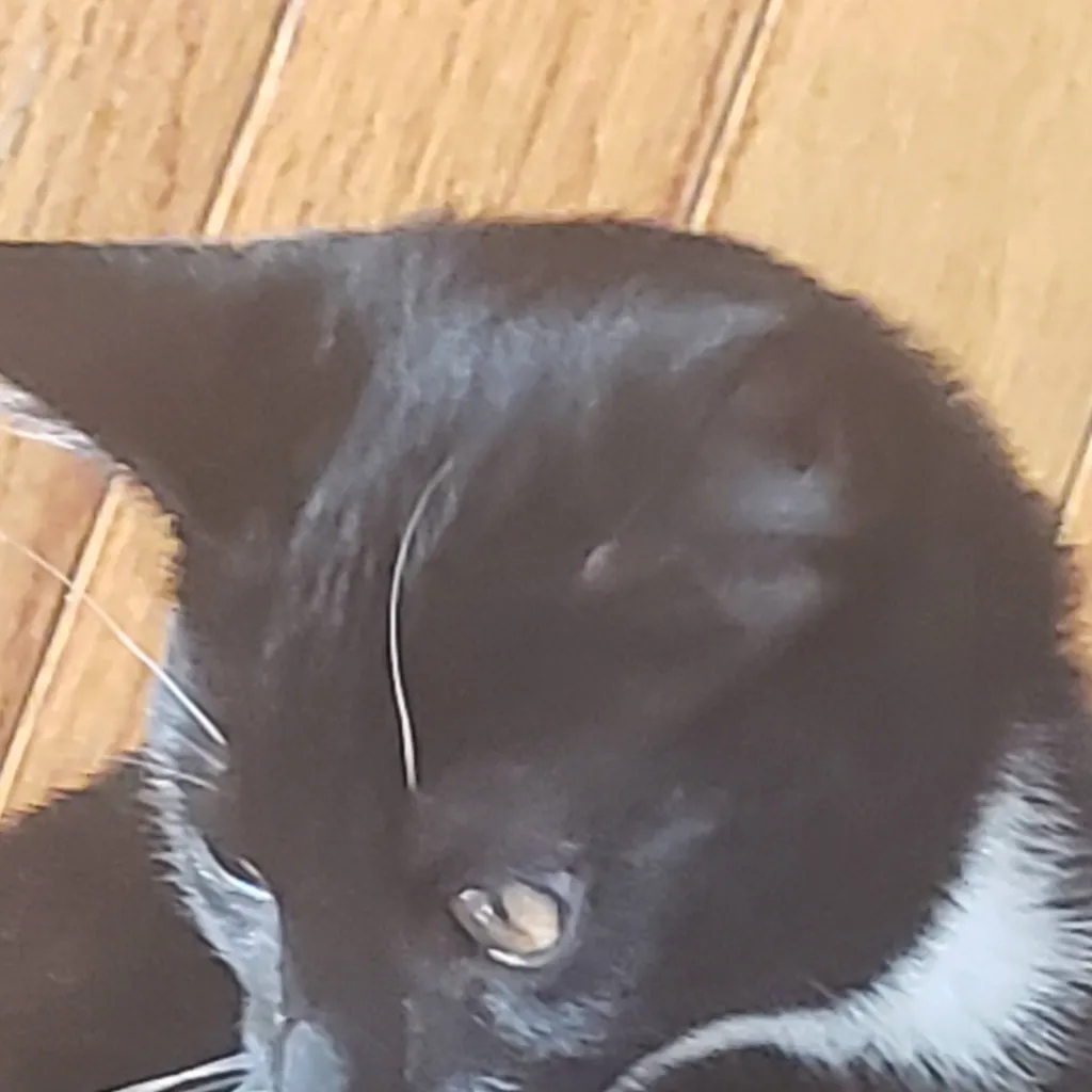 chat with ai character: mighty 