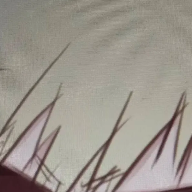 chat with ai character: ☆°ɓąɓŷ ɓąķůğơ°♡