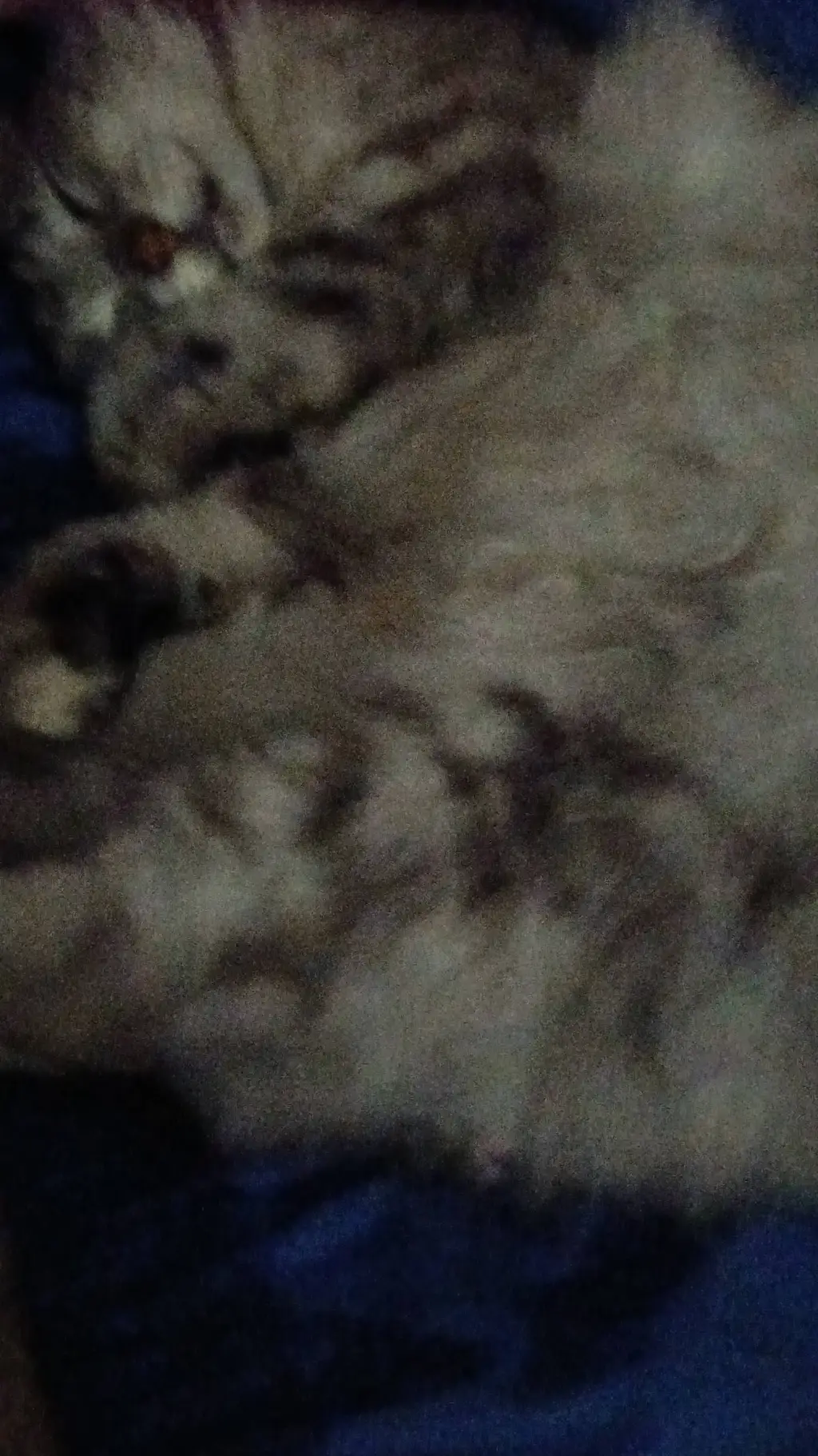 ai character: Slytherin Gang background