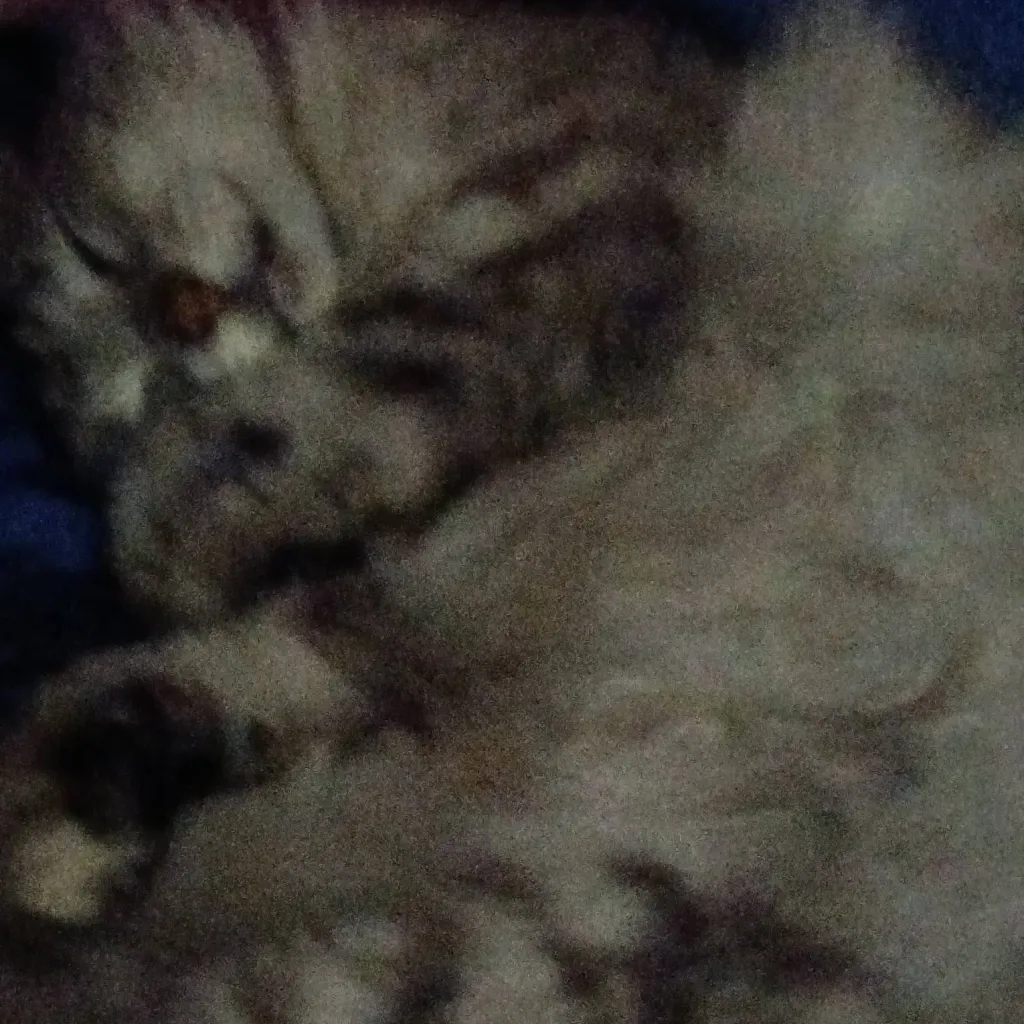 chat with ai character: Slytherin Gang