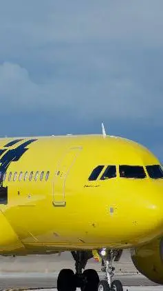 ai character: spirit airlines  background