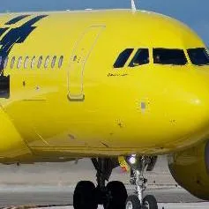 chat with ai character: spirit airlines 