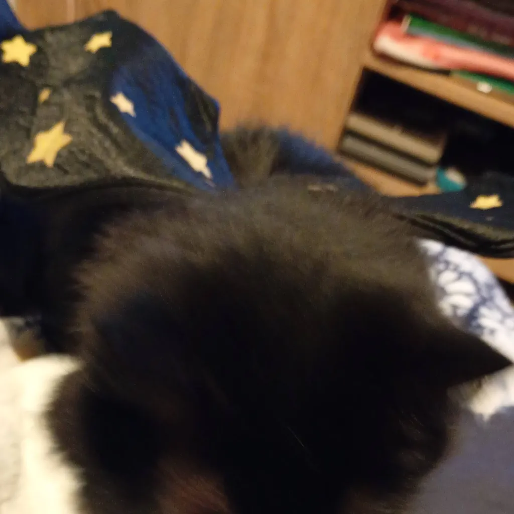 chat with ai character: popcorn