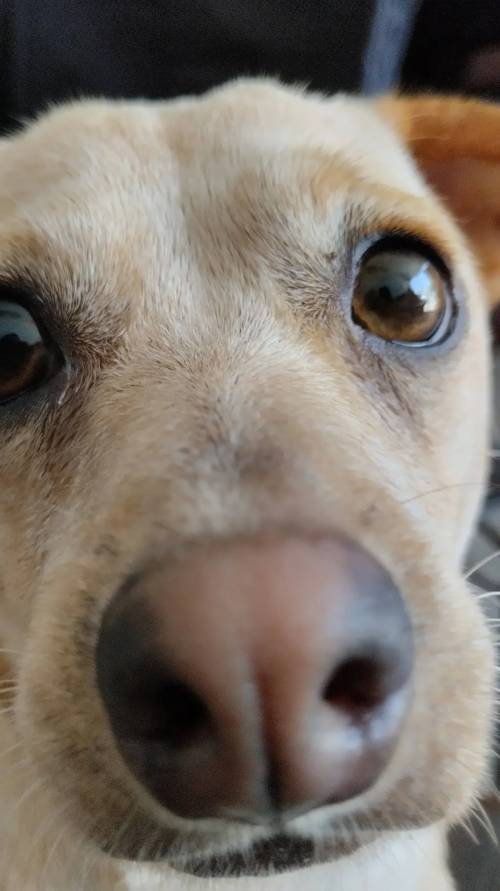 ai character: crea tu historia  background