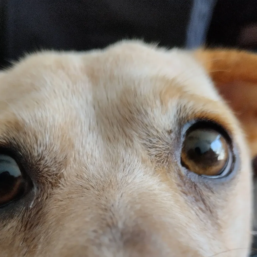 chat with ai character: crea tu historia 