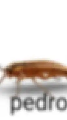 ai character: crea tu historia  background