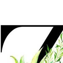 chat with ai character: la vida de Zoe💔