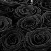 chat with ai character: dog object