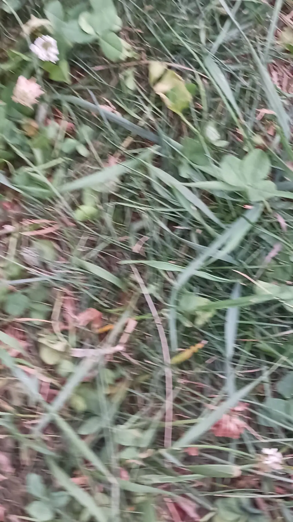 ai character: touch grass background
