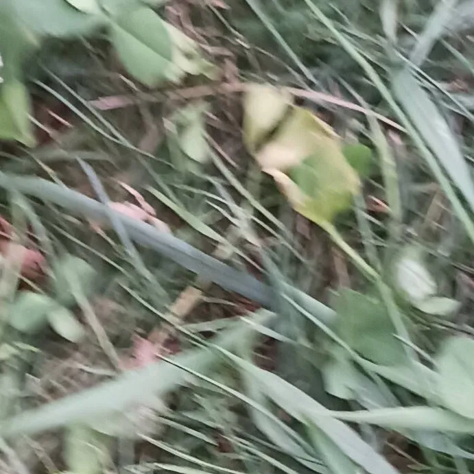chat with ai character: touch grass