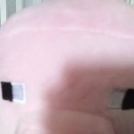 chat with ai character: el cerdo XD