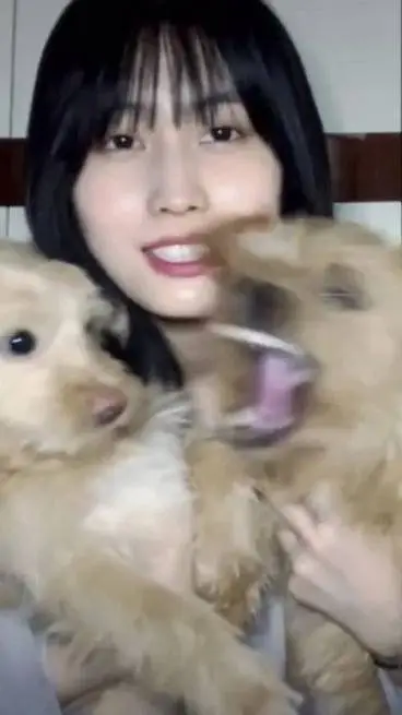 ai character:  Momo de twice background