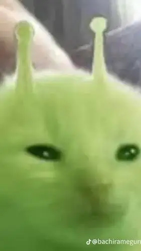 ai character: gatito marciano background