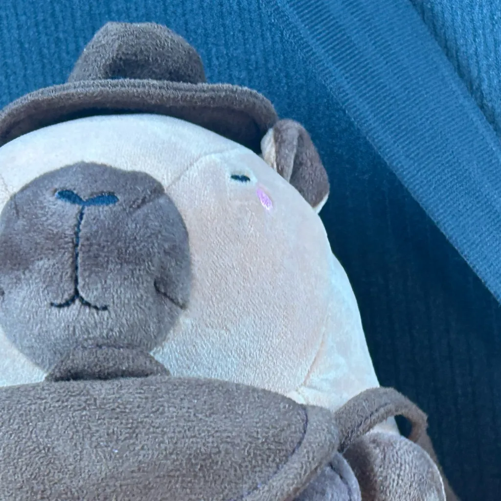 chat with ai character: Capybara 