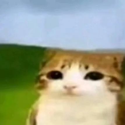 chat with ai character: meowl