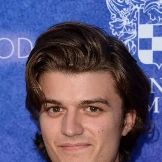 chat with ai character: Joe Keery