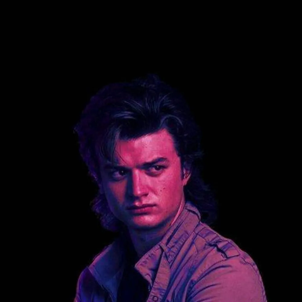 chat with ai character: Steve Harringtons2