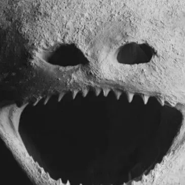 chat with ai character: Moon Wakes Up