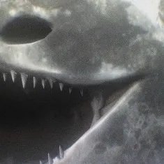 chat with ai character: Moon Wakes Up