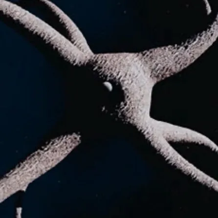 chat with ai character: 10,000BC