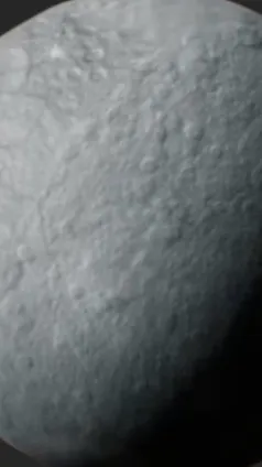 ai character: Chrysalis background