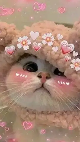 ai character: CATS FIGHT background