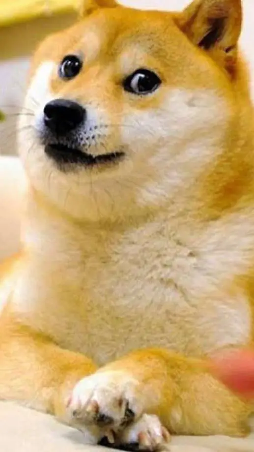 ai character: cachorro  background