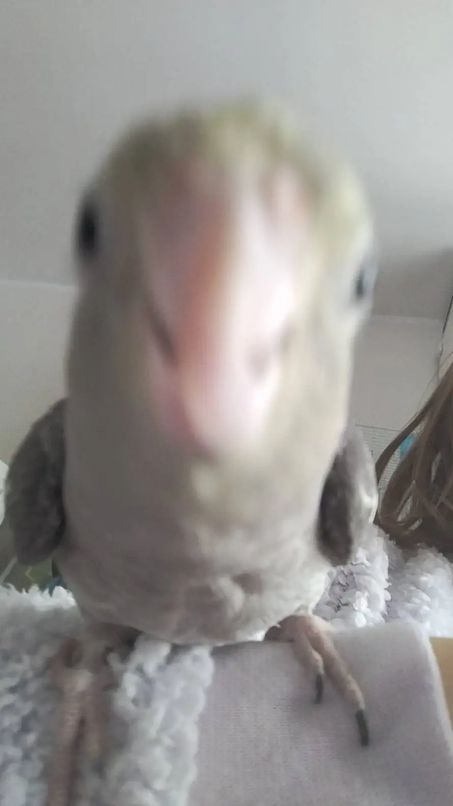 ai character: small guy background