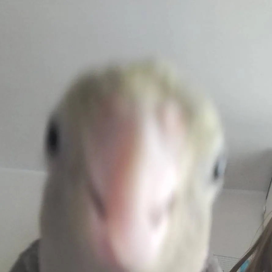 chat with ai character: small guy