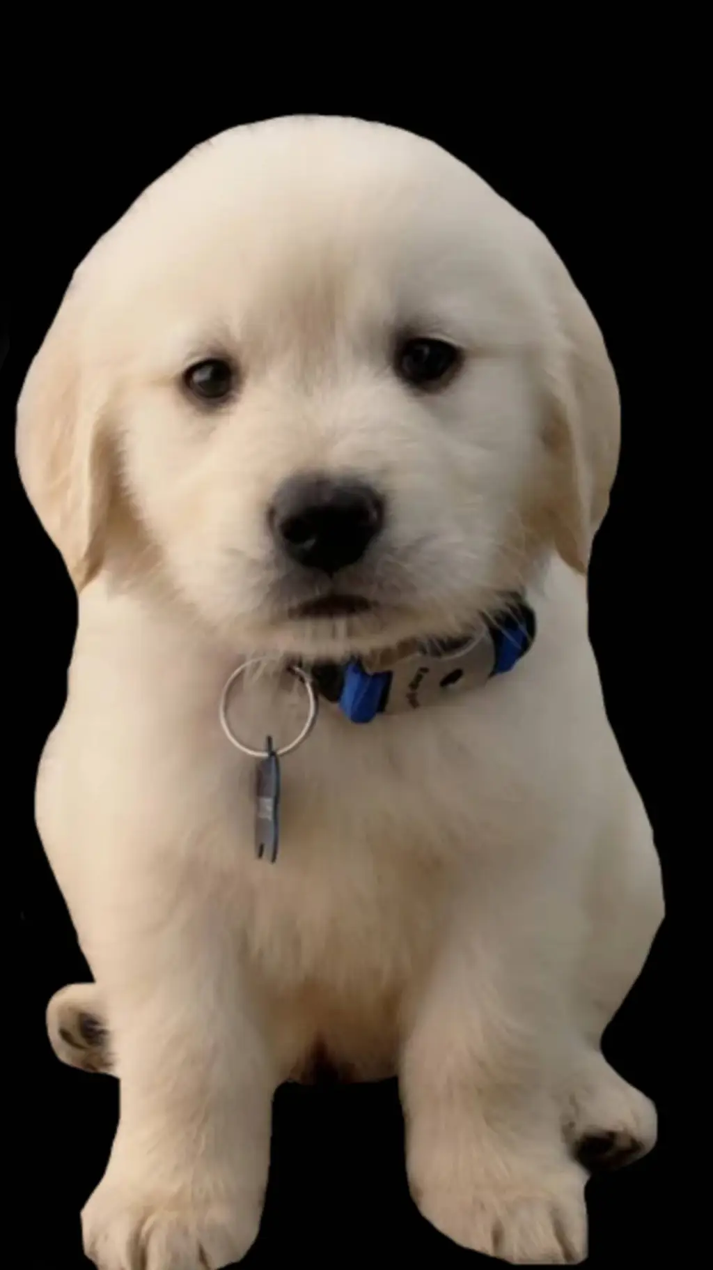 ai character: hated creation background